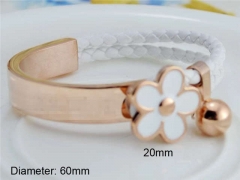 Stainless Steel Jewelry Wholesale - Stainless Steel Bangles - HY0033B172