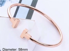 Stainless Steel Jewelry Wholesale - Stainless Steel Bangles - HY0033B019