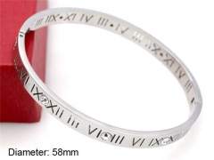 Stainless Steel Jewelry Wholesale - Stainless Steel Bangles - HY0041B067