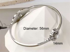 Stainless Steel Jewelry Wholesale - Stainless Steel Bangles - HY0123B133