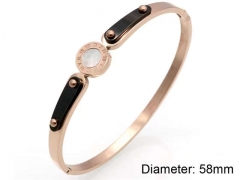 Stainless Steel Jewelry Wholesale - Stainless Steel Bangles - HY0041B216