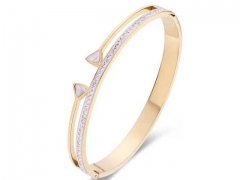 Stainless Steel Jewelry Wholesale - Stainless Steel Bangles - HY0155B0118