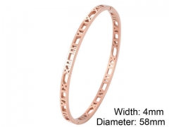 Stainless Steel Jewelry Wholesale - Stainless Steel Bangles - HY0076B063