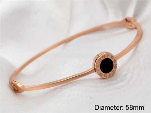 Stainless Steel Jewelry Wholesale - Stainless Steel Bangles - HY0033B173
