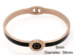 Stainless Steel Jewelry Wholesale - Stainless Steel Bangles - HY0041B225