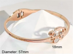 Stainless Steel Jewelry Wholesale - Stainless Steel Bangles - HY0123B179