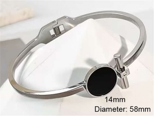 Stainless Steel Jewelry Wholesale - Stainless Steel Bangles - HY0123B190