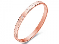 Stainless Steel Jewelry Wholesale - Stainless Steel Bangles - HY0155B0247