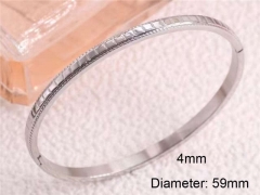 Stainless Steel Jewelry Wholesale - Stainless Steel Bangles - HY0122B210