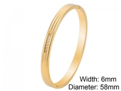 Stainless Steel Jewelry Wholesale - Stainless Steel Bangles - HY0076B307