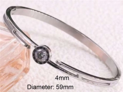 Stainless Steel Jewelry Wholesale - Stainless Steel Bangles - HY0122B175