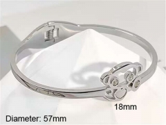 Stainless Steel Jewelry Wholesale - Stainless Steel Bangles - HY0123B181