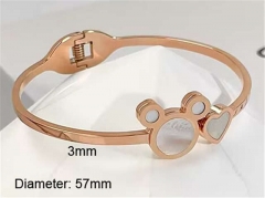 Stainless Steel Jewelry Wholesale - Stainless Steel Bangles - HY0123B212