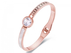 Stainless Steel Jewelry Wholesale - Stainless Steel Bangles - HY0155B0103