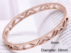 Stainless Steel Jewelry Wholesale - Stainless Steel Bangles - HY0122B259