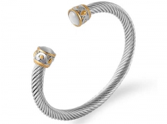 Stainless Steel Jewelry Wholesale - Stainless Steel Bangles - HY0155B0651