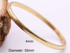 Stainless Steel Jewelry Wholesale - Stainless Steel Bangles - HY0122B096