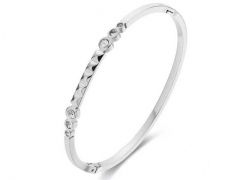 Stainless Steel Jewelry Wholesale - Stainless Steel Bangles - HY0155B0110