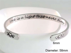 Stainless Steel Jewelry Wholesale - Stainless Steel Bangles - HY0128B155