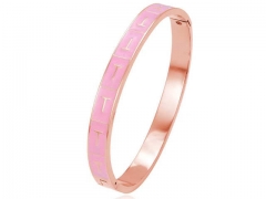 Stainless Steel Jewelry Wholesale - Stainless Steel Bangles - HY0155B0599