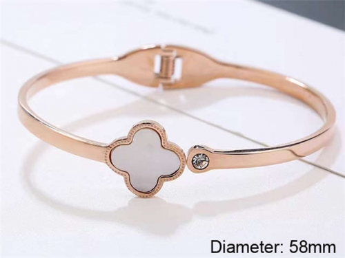 Stainless Steel Jewelry Wholesale - Stainless Steel Bangles - HY0033B025