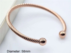 Stainless Steel Jewelry Wholesale - Stainless Steel Bangles - HY0033B170