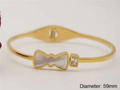 Stainless Steel Jewelry Wholesale - Stainless Steel Bangles - HY0122B446
