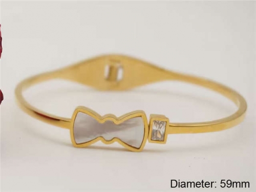 Stainless Steel Jewelry Wholesale - Stainless Steel Bangles - HY0122B446