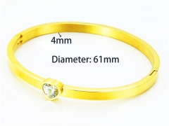 Stainless Steel Jewelry Wholesale - Stainless Steel Bangles - HY93B0263HJB