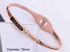 Stainless Steel Jewelry Wholesale - Stainless Steel Bangles - HY0033B120