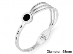 Stainless Steel Jewelry Wholesale - Stainless Steel Bangles - HY0090B0975