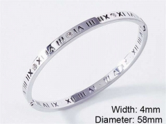 Stainless Steel Jewelry Wholesale - Stainless Steel Bangles - HY0076B011