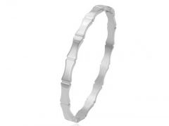Stainless Steel Jewelry Wholesale - Stainless Steel Bangles - HY0155B0525