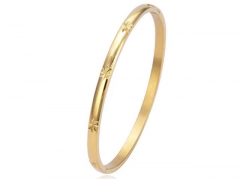Stainless Steel Jewelry Wholesale - Stainless Steel Bangles - HY0155B0529