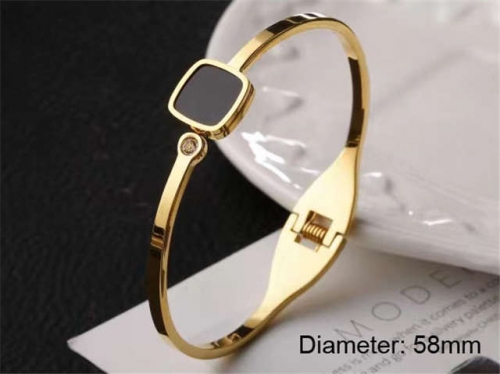 Stainless Steel Jewelry Wholesale - Stainless Steel Bangles - HY0033B052