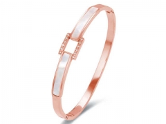 Stainless Steel Jewelry Wholesale - Stainless Steel Bangles - HY0155B0436
