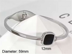 Stainless Steel Jewelry Wholesale - Stainless Steel Bangles - HY0123B196