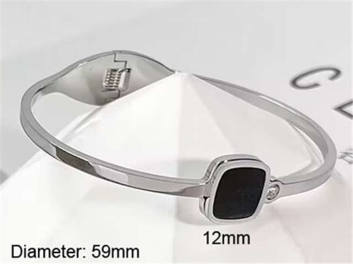 Stainless Steel Jewelry Wholesale - Stainless Steel Bangles - HY0123B196