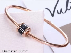 Stainless Steel Jewelry Wholesale - Stainless Steel Bangles - HY0033B048