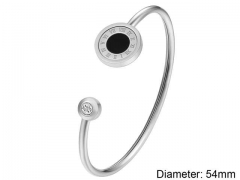 Stainless Steel Jewelry Wholesale - Stainless Steel Bangles - HY0041B083