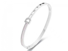 Stainless Steel Jewelry Wholesale - Stainless Steel Bangles - HY0155B0144