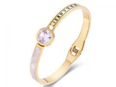 Stainless Steel Jewelry Wholesale - Stainless Steel Bangles - HY0155B0102