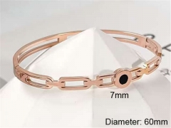 Stainless Steel Jewelry Wholesale - Stainless Steel Bangles - HY0123B192