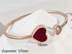 Stainless Steel Jewelry Wholesale - Stainless Steel Bangles - HY0123B062