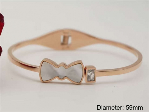 Stainless Steel Jewelry Wholesale - Stainless Steel Bangles - HY0122B445