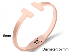 Stainless Steel Jewelry Wholesale - Stainless Steel Bangles - HY0090B0225