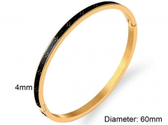 Stainless Steel Jewelry Wholesale - Stainless Steel Bangles - HY0090B1120
