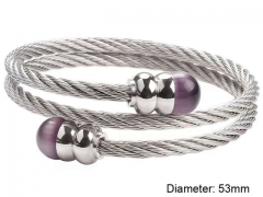 Stainless Steel Jewelry Wholesale - Stainless Steel Bangles - HY0128B113