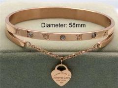 Stainless Steel Jewelry Wholesale - Stainless Steel Bangles - HY0041B307