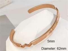 Stainless Steel Jewelry Wholesale - Stainless Steel Bangles - HY0123B226